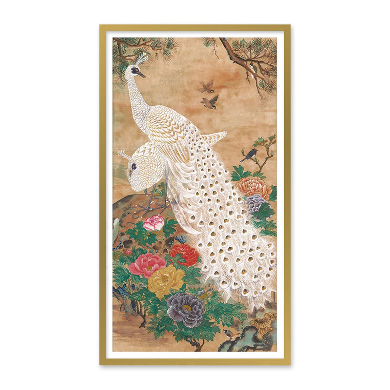 White Peacock Art Print